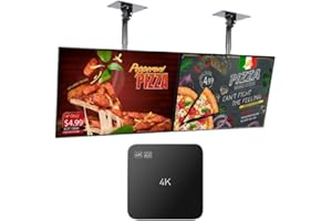 Lunzn Digital Signage Advertising Display Box Commercial AD Media Player for Restaruant Shopping Mall Marketing Business (YM05/1+8G)
