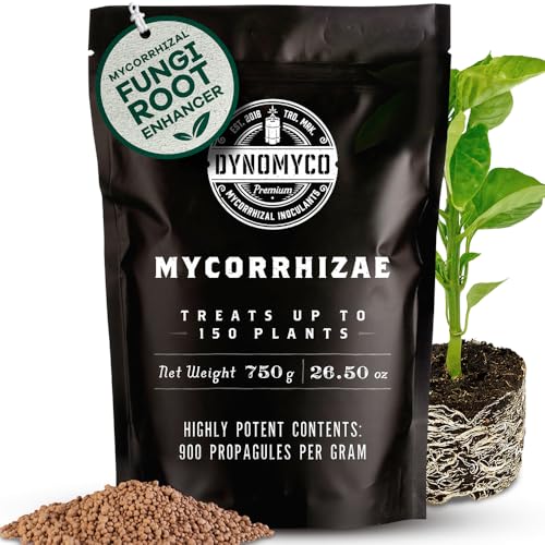Mykorrhiza-Impfmittel von DYNOMYCO - Hochleistungsstämme - Konzentrierte Formel - Verbessert die Nährstoffaufnahme - Steigert den Pflanzenertrag (750g