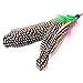 Avolare Cat Feather Toy Teaser and Exerciser for Cat Interactive Cat Toys Retractable Cat Wand Teaser Cat Catcher for Exercising Kitten Catnip Or Cat