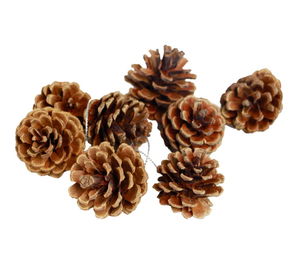 24 pieces of natural pine cones, Thanksgiving Christmas tree decorations, autumn and winter home pine cone decorations Christmas tree garland rattan decoration vase filling