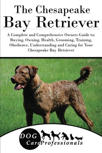 chesapeake bay retriever grooming