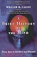 A Brief History of the Mind: From Apes to Intellect and Beyond