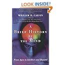 A Brief History of the Mind: From Apes to Intellect and Beyond