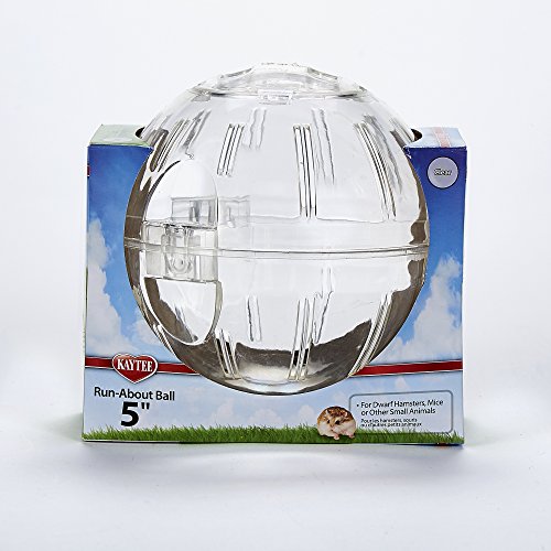 3 Kaytee+Run+about+Mini+Exercise+Clear