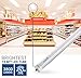 Hyperikon 8 Foot LED Tube, T8 T10 T12 75 Watt Fluorescent (36W), Ballast Bypass, Frosted Lens, UL, Daylight White, 4 Pack