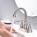Single-Handle High-Arc Stainless Steel Faucet For Pre-Kitchen Sink/Bar Sink/Bathroom Sink By Phiestina, With 4 Inch Deck Plate And Supply Hoses, Mattet Black, WE08E-MB