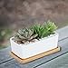 CINOTON Succulent Plant Pots Indoor, 6.69 inch Ceramic Planter Set, Square Flower Pot with Bamboo Tray for Cactus Decor Bedroom Garden Decorations