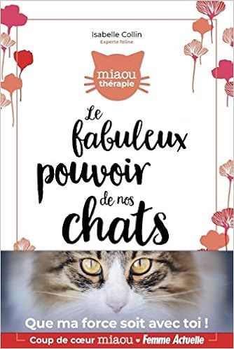 Le Fabuleux Pouvoir De Nos Chats Miaou Therapie French Edition Collin Isabelle Amazon Com Books