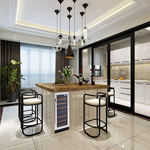 6 Worthyeah+Freestanding+Compressor+Refrigerator+Double+Layer