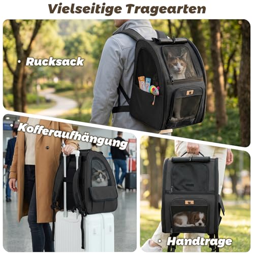 Aystkniet Cat Backpack & Dog Backpack up to 6 kg, Large Pet Transport Bag with 270° Ventilation, 3 Openings, Foldable, Breathable for Travel, Hiking, Plane & Veterinarian