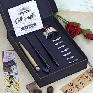 Isomars Victoria Calligraphy Pen Set With 1 Oblique Holder 1 Nib Holder 1 Wooden Manga Holder 7 Nibs And Black Ink 30ml Amazon In Office Products