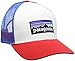 Patagonia P-6 Logo Trucker Hat