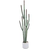 Nafresh Tall Faux Cactus Plant，62in Realistic Texture Tall Fake Plant, Artificial Cactus Large with White Planter Indoor Outdoor for Home Office Living Room Bedroom Foyer Porch Decor.