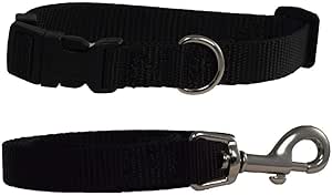 cockapoo dog collar