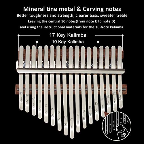 2 Portable+Instruction+Instruments+Feathers+Beginners