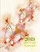 2019 Butterfly Gratitude Journal Daily Planner: Academic Hourly Organizer In 15 Minute Interval; Appointment Calendar With Address Book; Monthly & Weekly Goals Diary With Inspirational Quotes by ZenWerkz
