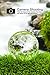 Lulonpon Crystal Ball,3.15in Lens Crystal Balls for Photography Accessories, K9 Crystal Sphere Ball, Decorative Ball with Crystal Stand and Wiping Cloth,Photography Gifts for Photographers