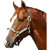 Kensington Premium Breakaway Halter with Padded Nose &mdash; Added Breakaway Safety Measures &mdash; Snap at Throat for Identical Fit Each Time