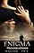 Livro Enigma - Pecados & Danos