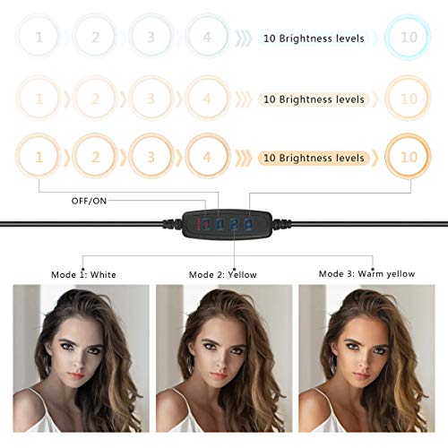 Ring Light 10" with Tripod Stand & Phone Holder for Live Streaming & YouTube Video, Dimmable Desktop LED Makeup Ring Light for Studio, Photography with 3 Light Modes & 10 Brightness Level