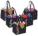 Planet E Reusable Grocery Shopping Bags – Multi-purpose Foldable Bags Made of Recycled Plastic (Pack of 5)
