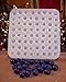 Blueberry Embeds 64 Cavity Food-Soap-Candle-Resin-Flexible Silicone Mold 5089