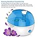 PurSteam 4L Ultrasonic Cool Mist Humidifier – Superior Humidifying Unit with Whisper-Quiet Operation and Automatic Shut-Off. Large Water Tank Allows Over 20 hrs of Operating Time