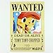 Bluefun Anime One Piece Pirates Wanted Posters 9pcs Set - Style New