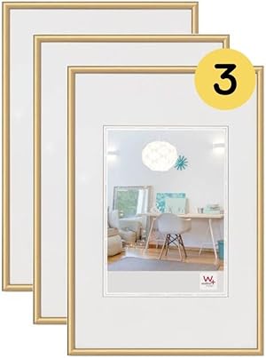 walther design Bilderrahmen gold 20 x 30 cm 3er Pack, New Lifestyle Kunststoffrahmen KV030G3