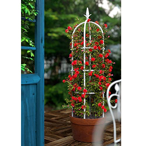 CJSWT 180cm Garten Obelisken Trellis, Rankhilfe Rankgerüst Kletterpflanzen, Trellis Unterstützung Metallrahmen, Outdoor… – Bild 7