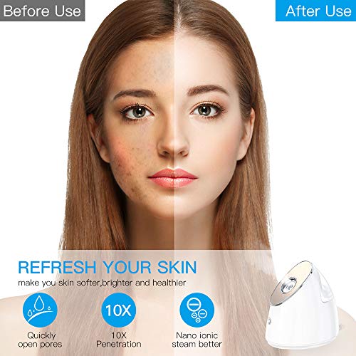image for Duomishu Facial Steamer - 100ml Nano Ionic Warm Mist Face Spa Humidifi