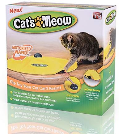 concealed motion cat toy