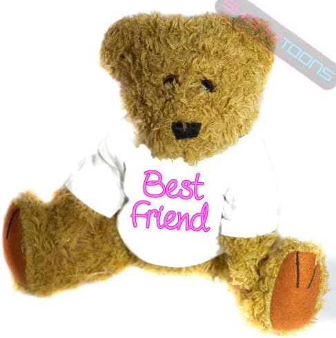 shaniztoons Best Friend Novelty Gift Teddy Bear