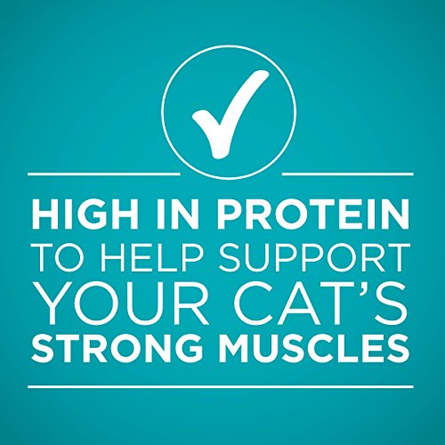 Purina ONE Natural, High Protein Wet Cat Food Variety Pack, True