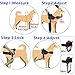 Mihachi Dog Harness with Leash with Handle No Pull No Chock Adjustable Padded Vest Harness for Dogs,Black,XL