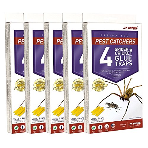 J T Eaton 076706844002 Spider and Cricket Glue Trap (Pack of 5),
