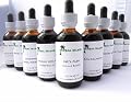 Cat's Claw Liquid Extract - Alcohol Free (2 Fl. Oz) Immune Booster