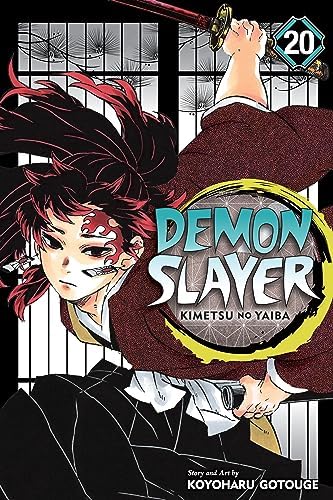 Amazon.com: Demon Slayer: Kimetsu no Yaiba, Vol. 18: Assaulted By