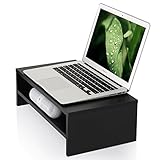 Fitueyes DT204201WB 16.7-Inch 2-Tier Computer Monitor Stand, Black (Electronics)