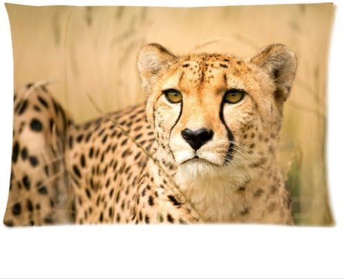 Custom Distinctive Design Cool Roaring Cheetah/Leopard 20x30 inch Twin Sides Zippered Pillowcase Pillow Covers