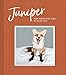 Juniper: The Happiest Fox: (Books about Animals, Fox Gifts, Animal Picture Books, Gift Ideas for Friends)