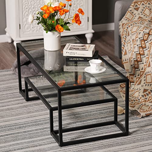 Sophia & William Glass Coffee Table with Storage Shelf, Modern