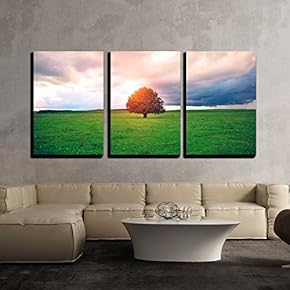 3 Piece Canvas Wall Art - Single Oak Tree in Field Under Magical Sunny Sky - Modern Home Art Stretched and Framed Ready to Hang - 16"x24"x3 Panels