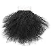 Afro Kinkys Curly 4