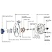 Maxcatch Fly Fishing Reel with CNC-machined Aluminum Body Avid Series Best Value - 1/3, 3/4, 5/6, 7/8, 9/10 Weights(Black, Green, Blue, Silver, Black&Silver) (Green, 7/8 wt)