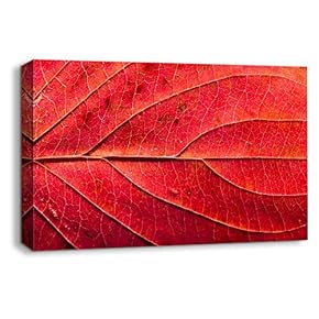 wall26 Canvas Wall Art Leaf Veins Pictures Home...