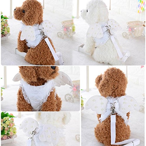 Binmer(TM) Angel Wings Pet Chest Strap Comfort Soft Breathable Dog Harness Pet Vest Collars Rope Dog Chest Strap Leash Set Collar for Small puppy (White, S)