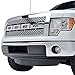 EAG 09-14 Ford F-150 Raptor Grille Chrome ABS Replacement Grill With Shell