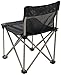 ALPS Mountaineering Adventure Folding Camping Chairs - Durable Mesh Fabric Over Powder Coated Aluminum with Simple Compact Design and Shoulder Carry Bag, Black