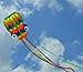Weifang New Sky Kites Frameless Parafoil Large Rainbow Octopus with String and Handle, Beautiful colors in the sky